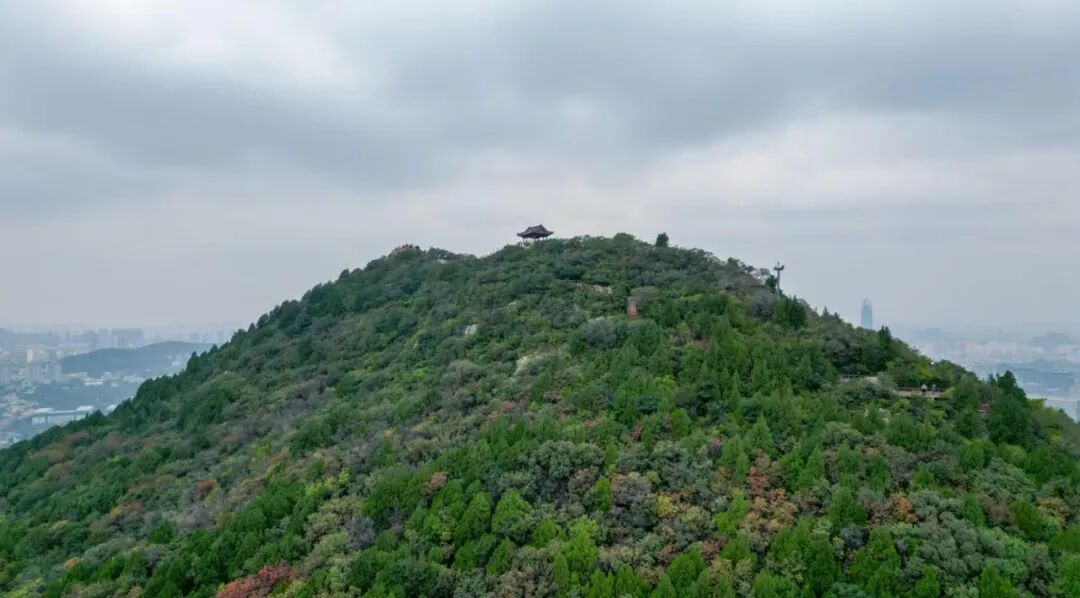 图片[2]-济南这些绝美登高赏秋地，看到第一个就心动了！-沐风体验