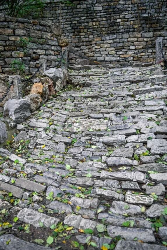 图片[8]-济南这些绝美登高赏秋地，看到第一个就心动了！-沐风体验