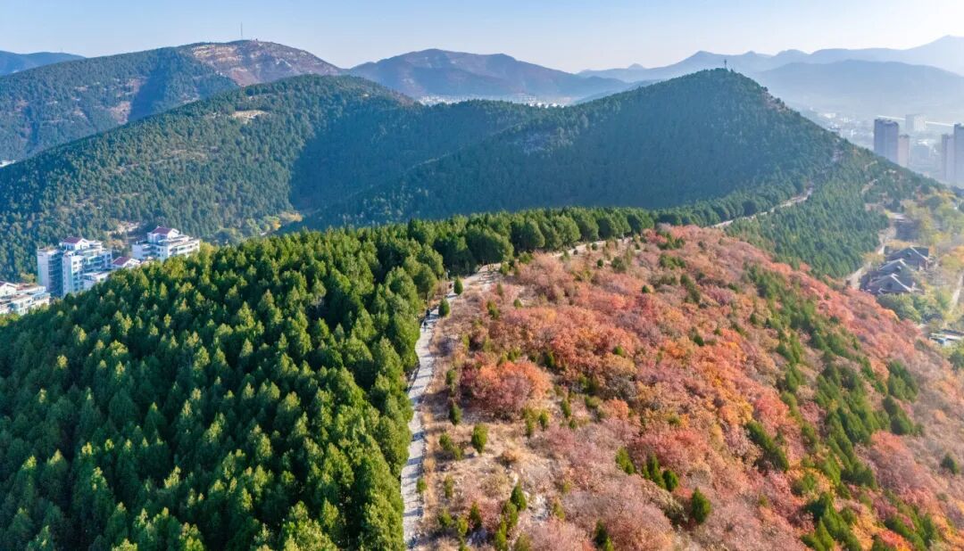 图片[11]-济南这些绝美登高赏秋地，看到第一个就心动了！-沐风体验