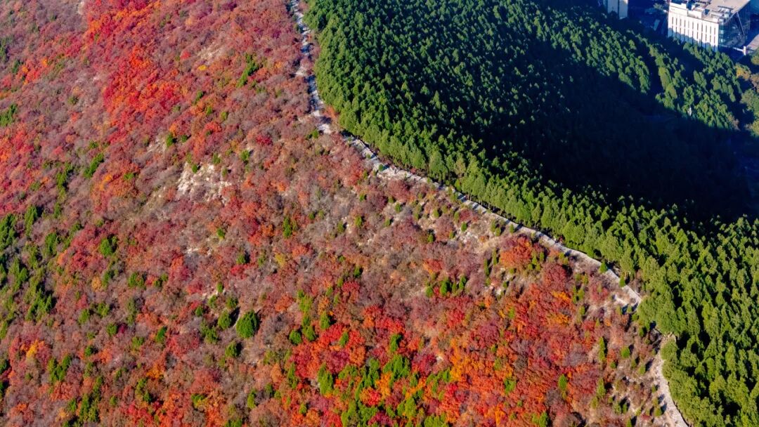 图片[12]-济南这些绝美登高赏秋地，看到第一个就心动了！-沐风体验