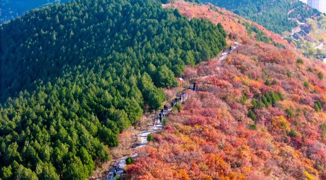 图片[13]-济南这些绝美登高赏秋地，看到第一个就心动了！-沐风体验