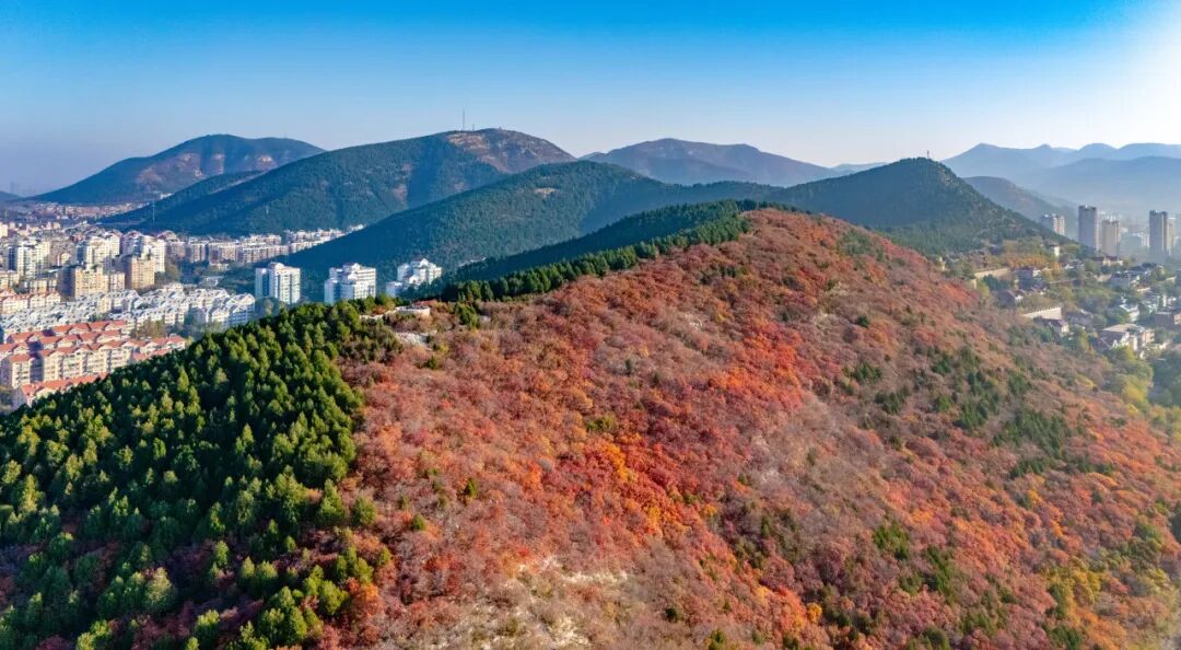 图片[15]-济南这些绝美登高赏秋地，看到第一个就心动了！-沐风体验