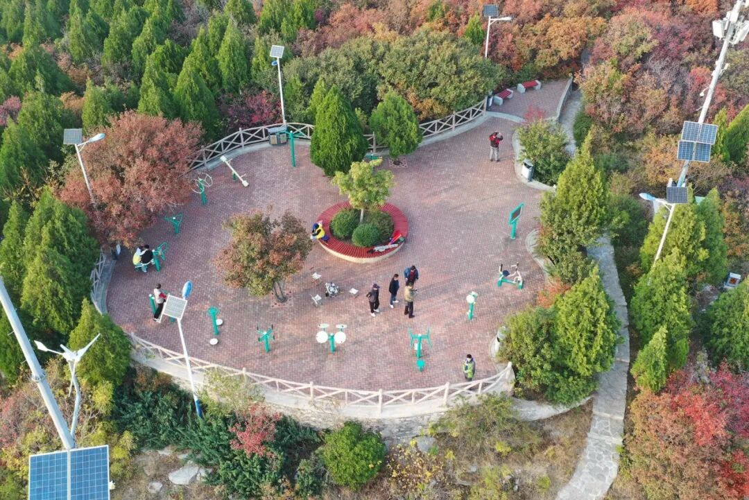 图片[18]-济南这些绝美登高赏秋地，看到第一个就心动了！-沐风体验