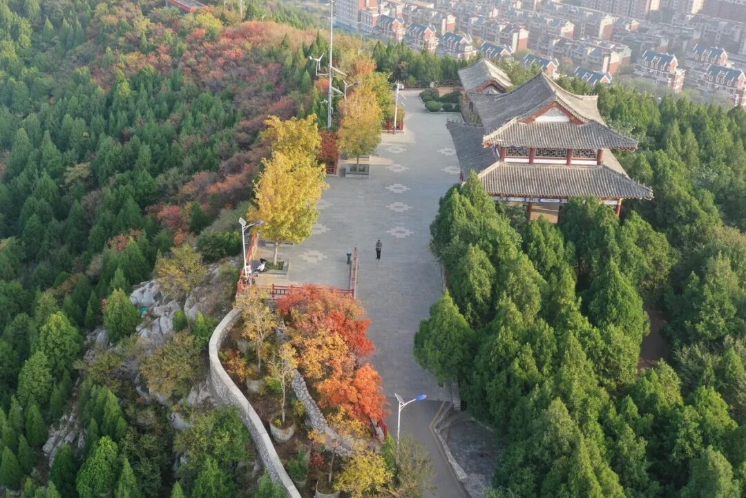 图片[19]-济南这些绝美登高赏秋地，看到第一个就心动了！-沐风体验