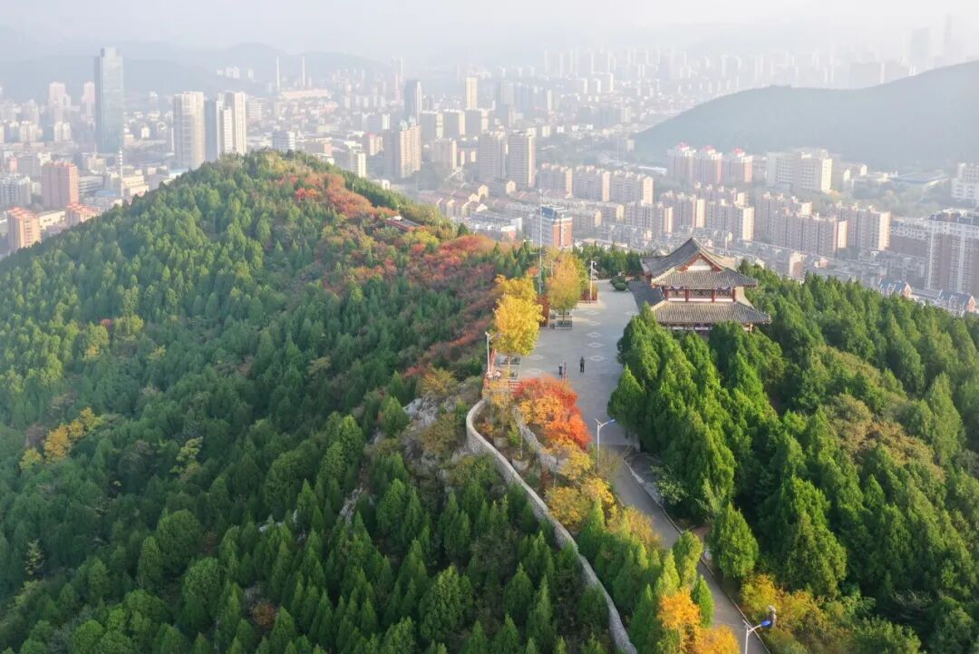 图片[22]-济南这些绝美登高赏秋地，看到第一个就心动了！-沐风体验