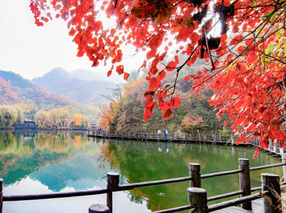 图片[23]-济南这些绝美登高赏秋地，看到第一个就心动了！-沐风体验