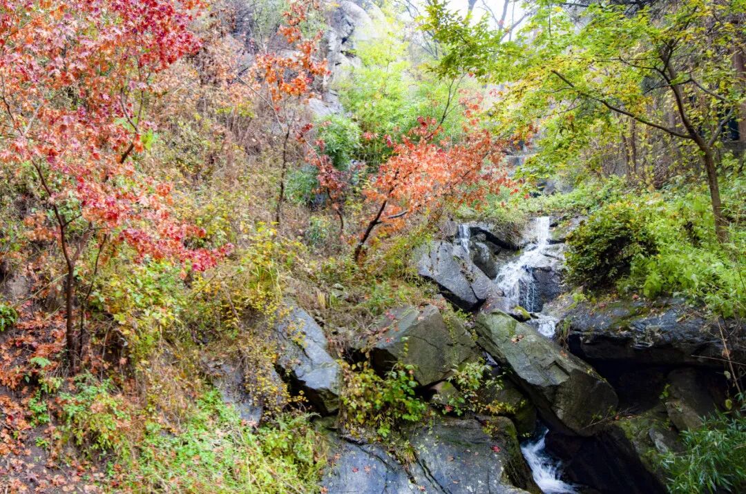 图片[25]-济南这些绝美登高赏秋地，看到第一个就心动了！-沐风体验