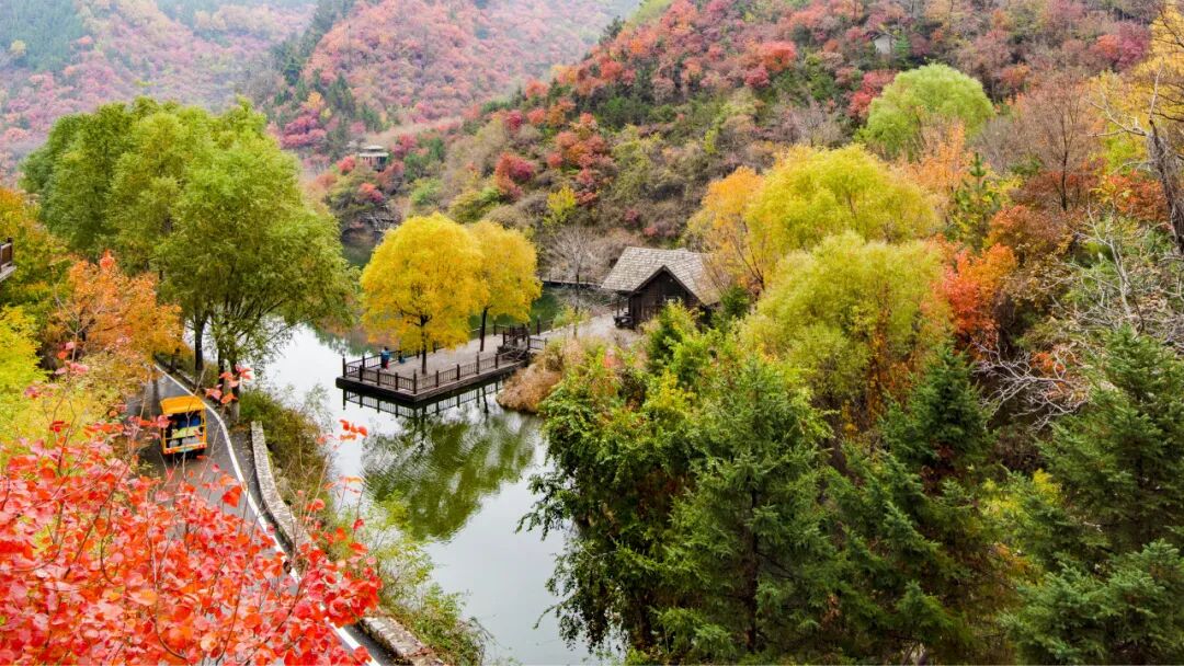 图片[26]-济南这些绝美登高赏秋地，看到第一个就心动了！-沐风体验