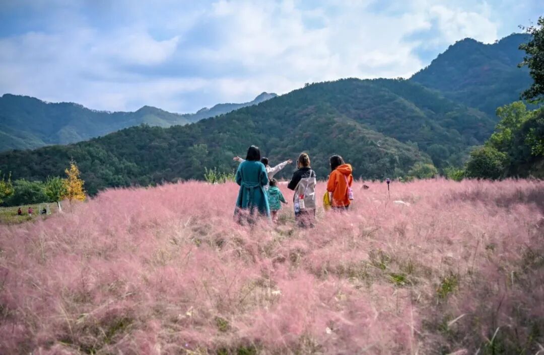 图片[27]-济南这些绝美登高赏秋地，看到第一个就心动了！-沐风体验