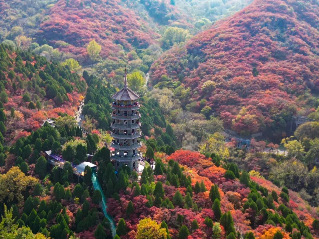 图片[29]-济南这些绝美登高赏秋地，看到第一个就心动了！-沐风体验