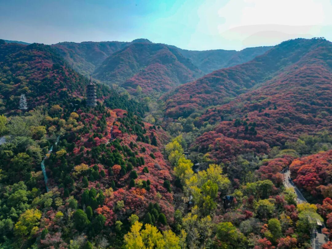 图片[32]-济南这些绝美登高赏秋地，看到第一个就心动了！-沐风体验