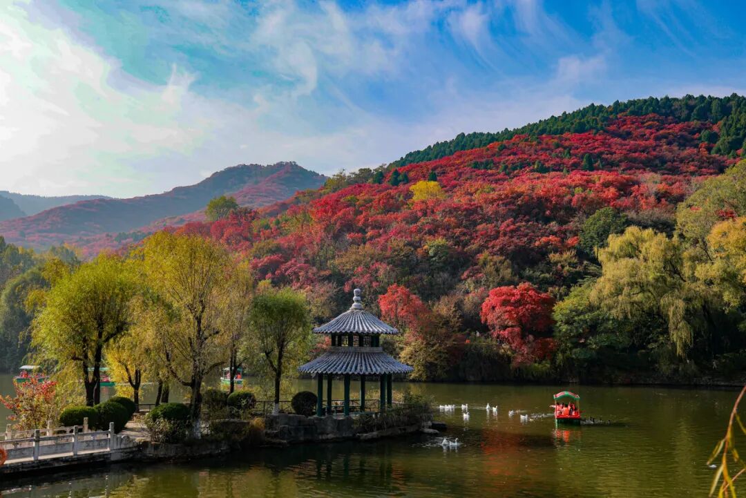 图片[33]-济南这些绝美登高赏秋地，看到第一个就心动了！-沐风体验