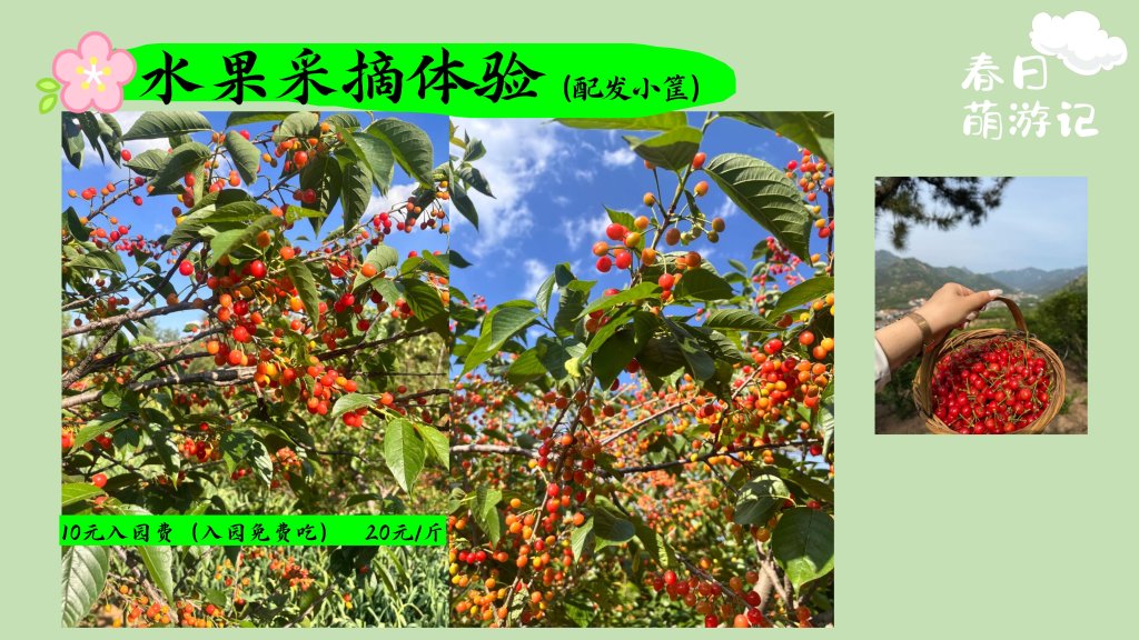图片[19]-夏日萌游记——“天上的街市”放青松新玩法  一起去山里续个氧-沐风体验
