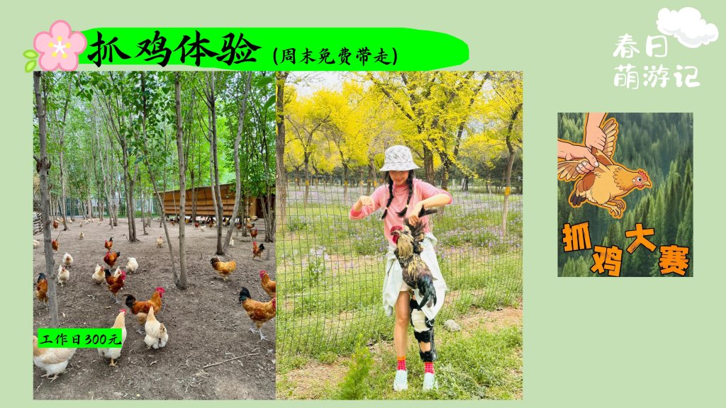 图片[20]-夏日萌游记——“天上的街市”放青松新玩法  一起去山里续个氧-沐风体验