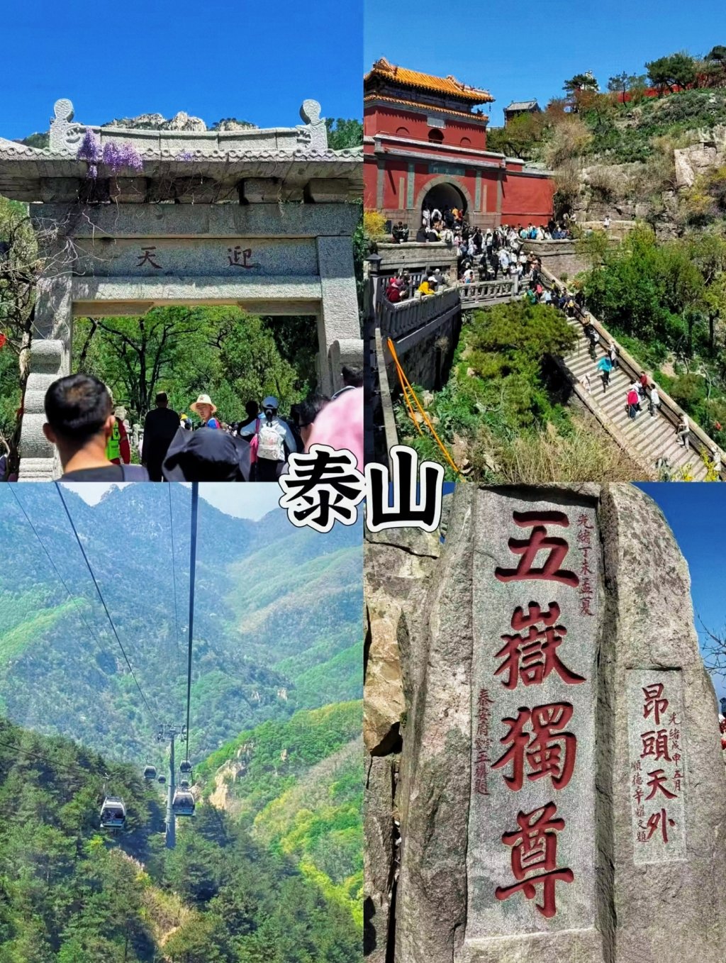 图片[2]-聪明人出游🔥山东正版完整攻略全捋明白‼-沐风体验